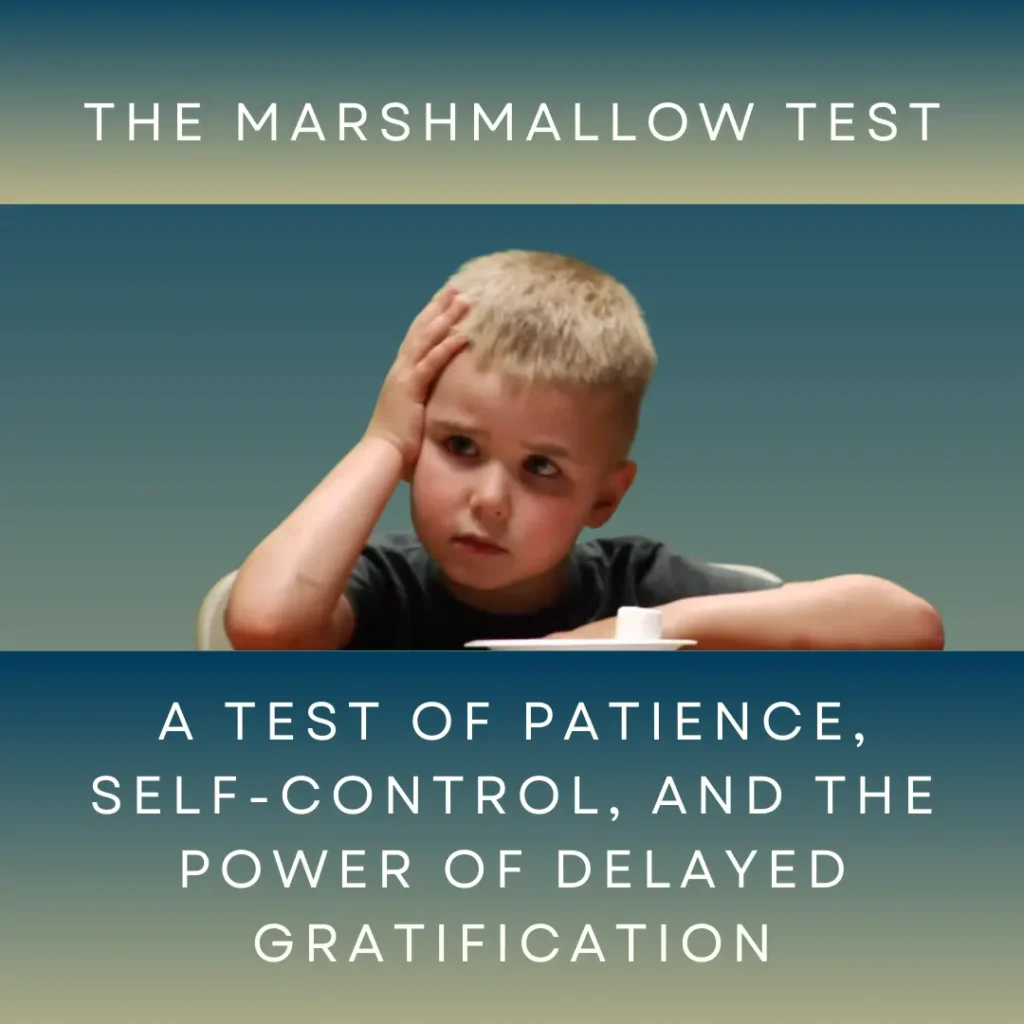 The Marshmallow Test: A Sweet Lesson in Emotional Intelligence