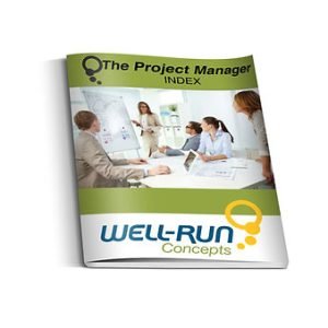 The Project Manager