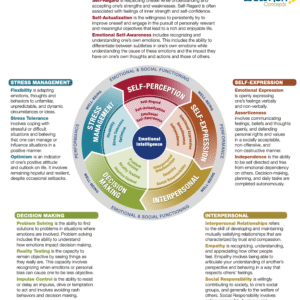 EQ Skills